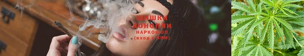 mix Бородино