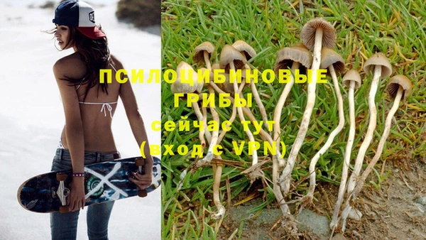mix Бородино