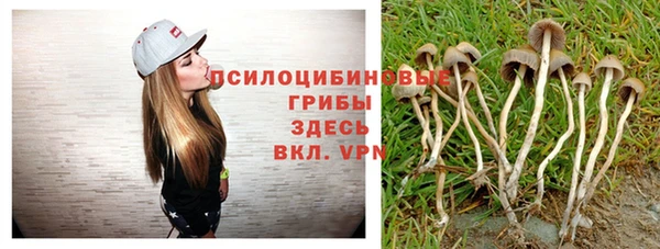 mix Бородино