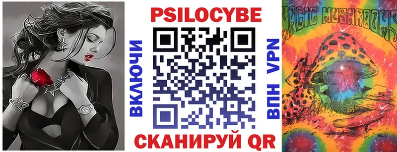 Псилоцибиновые грибы Psilocybine cubensis где можно купить Мензелинск
