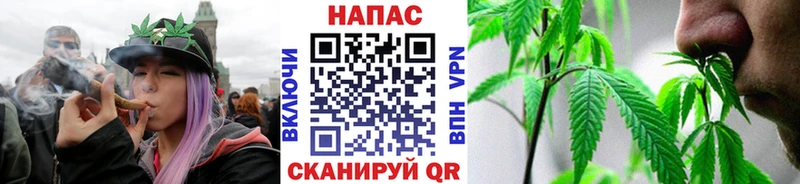 Конопля сатива  закладка  OMG сайт  Мензелинск 